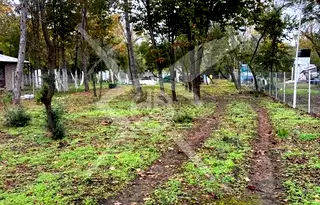 Парцел в Бургас, Черноморец