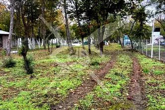 Парцел в Бургас, Черноморец