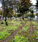Парцел в Бургас, Черноморец
