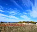 Снимка 3 — Парцел в Бургас, Черноморец