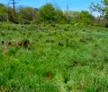 Снимка 4 — Парцел в Бургас, Черноморец