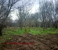 Снимка 5 — Парцел в Бургас, Черноморец