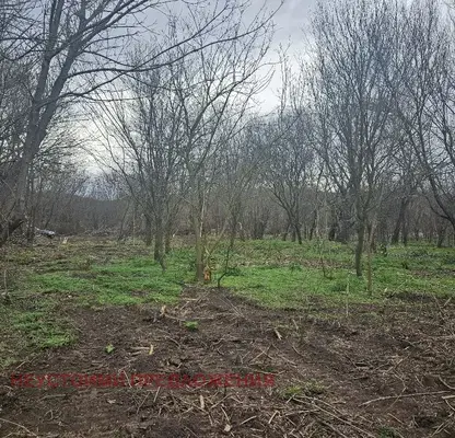 Photo 5 — Plot in Oblast Burgas, Chernomorec
