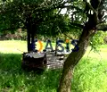 Снимка 2 — Парцел в Бургас, Карнобат