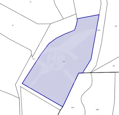 Photo 2 — Plot in Oblast Burgas, Malko Tyrnovo