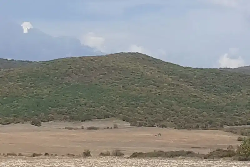 Парцел в Бургас, Несебър
