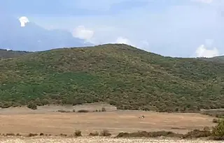 Парцел в Бургас, Несебър