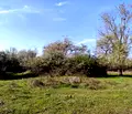 Снимка 2 — Парцел в Бургас, Несебър