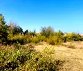 Снимка 5 — Парцел в Бургас, Обзор