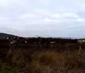 Снимка 3 — Парцел в Бургас, Обзор