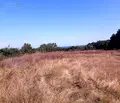 Снимка 5 — Парцел в Бургас, Обзор