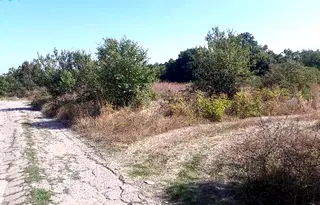 Парцел в Бургас, Обзор
