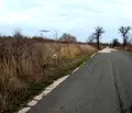 Снимка 3 — Парцел в Бургас, Обзор