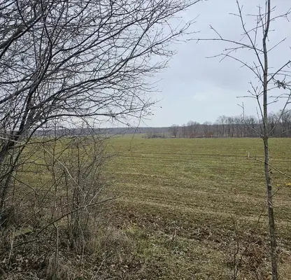 Снимка 4 — Парцел в Бургас, Обзор