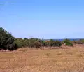 Снимка 4 — Парцел в Бургас, Обзор