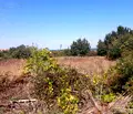 Снимка 5 — Парцел в Бургас, Обзор