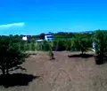 Снимка 2 — Парцел в Бургас, Обзор