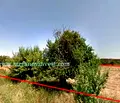 Снимка 4 — Парцел в Бургас, Обзор