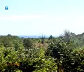 Снимка 5 — Парцел в Бургас, Обзор
