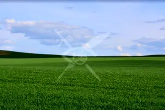 Парцел в Бургас, Поморие