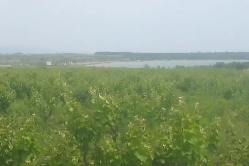 Plot in Oblast Burgas, Pomorie