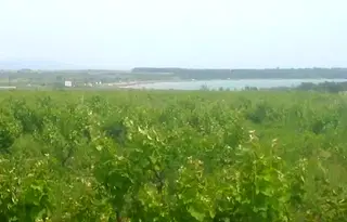 Парцел в Бургас, Поморие