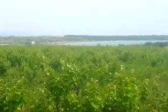 Парцел в Бургас, Поморие
