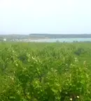 Парцел в Бургас, Поморие