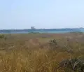 Снимка 3 — Парцел в Бургас, Поморие