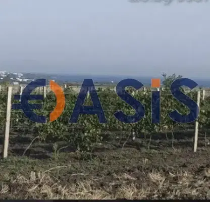 Photo 3 — Plot in Oblast Burgas, Bata