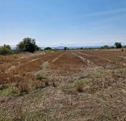 Снимка 3 — Парцел в Бургас, Поморие