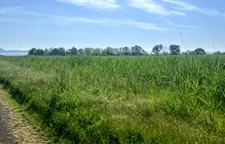 Парцел в Бургас, Поморие