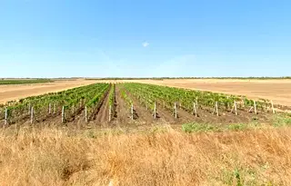 Парцел в Бургас, Поморие