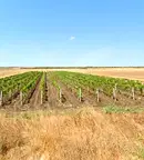 Парцел в Бургас, Поморие