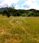 Парцел в Бургас, Поморие
