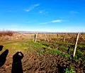 Снимка 5 — Парцел в Бургас, Поморие