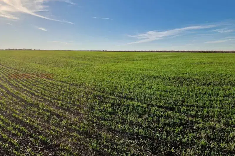 Plot in Oblast Burgas, Pomorie