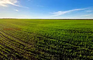 Парцел в Бургас, Поморие