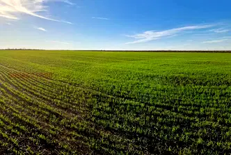 Парцел в Бургас, Поморие