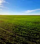 Парцел в Бургас, Поморие