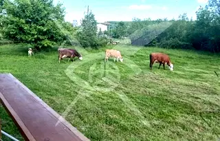 Парцел в Бургас, Приморско