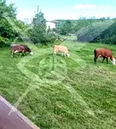 Парцел в Бургас, Приморско
