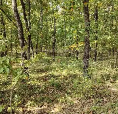 Снимка 5 — Парцел в Бургас, Приморско