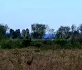 Снимка 3 — Парцел в Бургас, Созопол