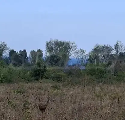Снимка 3 — Парцел в Бургас, Созопол