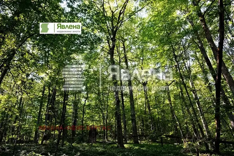 Парцел в Бургас, Созопол