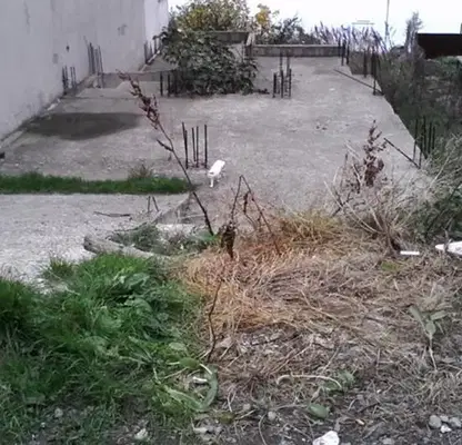 Снимка 4 — Парцел в Бургас, Созопол