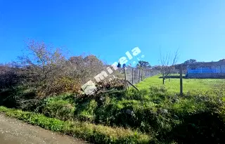 Парцел в Бургас, Созопол