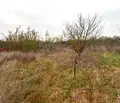 Снимка 3 — Парцел в Бургас, Средец