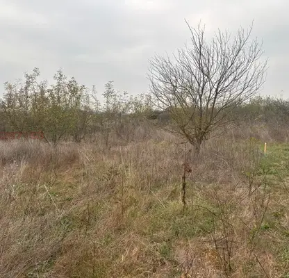 Снимка 3 — Парцел в Бургас, Средец
